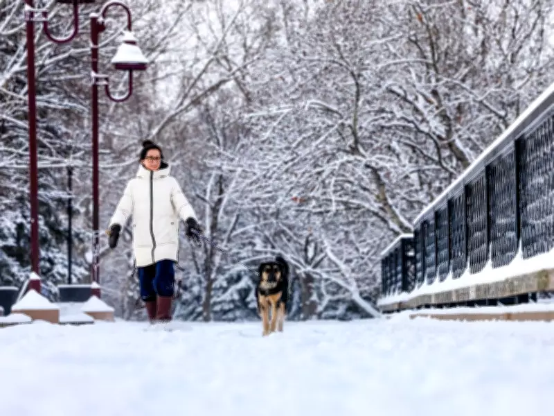 Calgary Braces for More Snow During Peak Snowfall Months, Says Environment Canada
