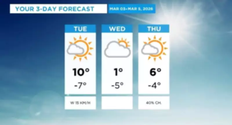 Calgary Braces for Peak Freeze-Thaw Cycle in Coming Days