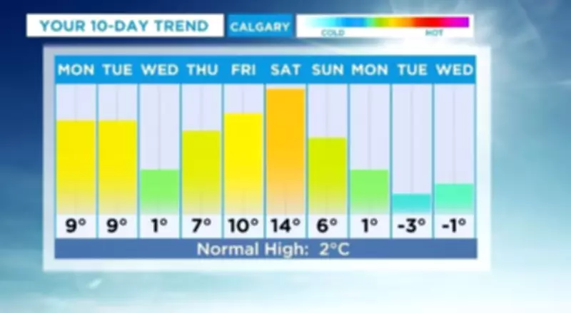 Calgary Braces for Persistent Melting with Temperatures Reaching 14°C by Saturday