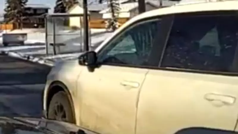 Calgary Driver Fined for Installing Curtains in Vehicle Windows