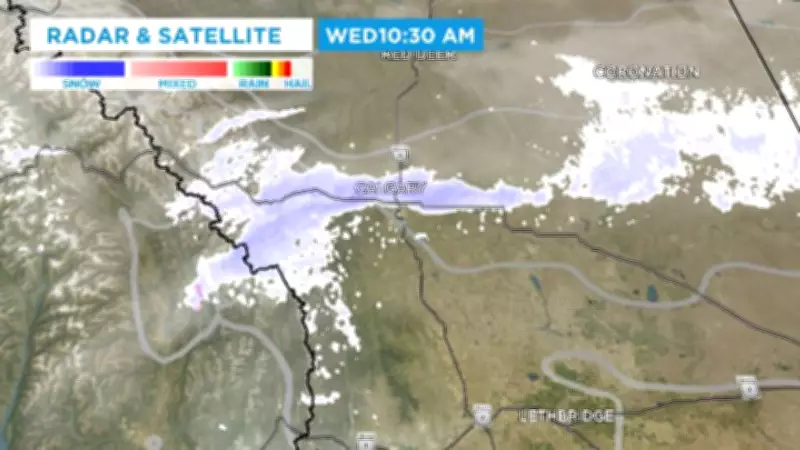 Calgary Faces Snowfall Warning as Intense Snow Band Stalls Over City