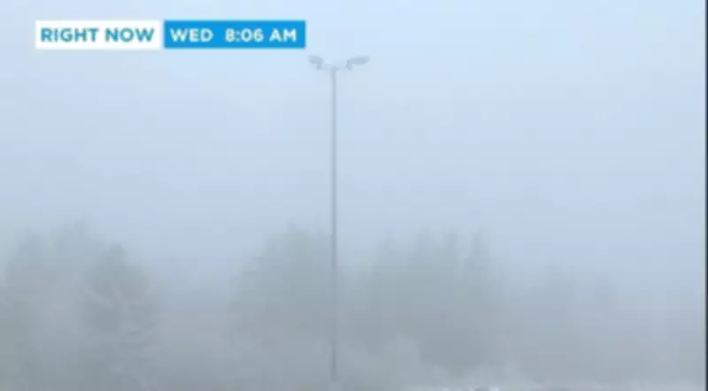 Calgary Fog Advisory: Poor Visibility and Freezing Rain Threaten Commuters