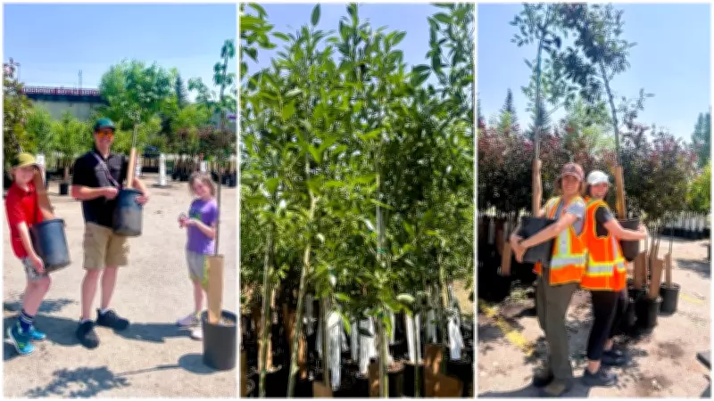 Calgary Gives Away 10,000 Free Trees to Expand Urban Canopy