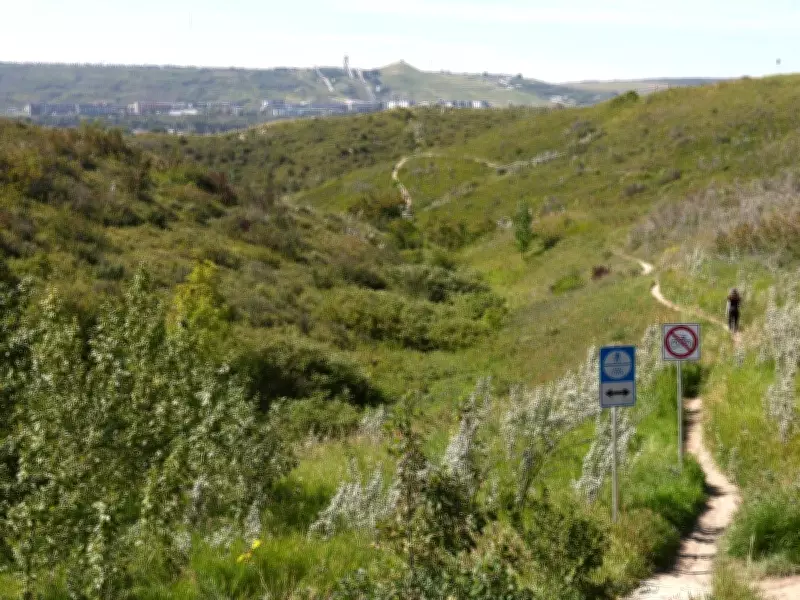 Calgary Parks Department Seeks $14M Boost Amid Rising Complaints and Growth