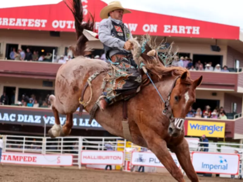 Calgary Plans Multi-Sport Upgrade for GMC Stadium to Enhance Year-Round Utilization