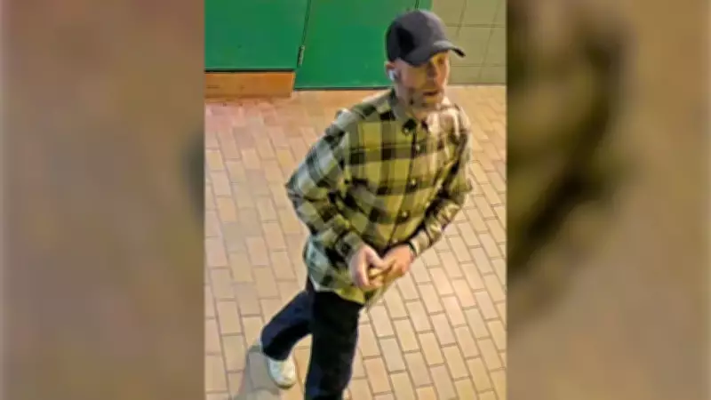 Calgary Police Investigate Martindale Vandalism Spree: 10 Vehicles Targeted