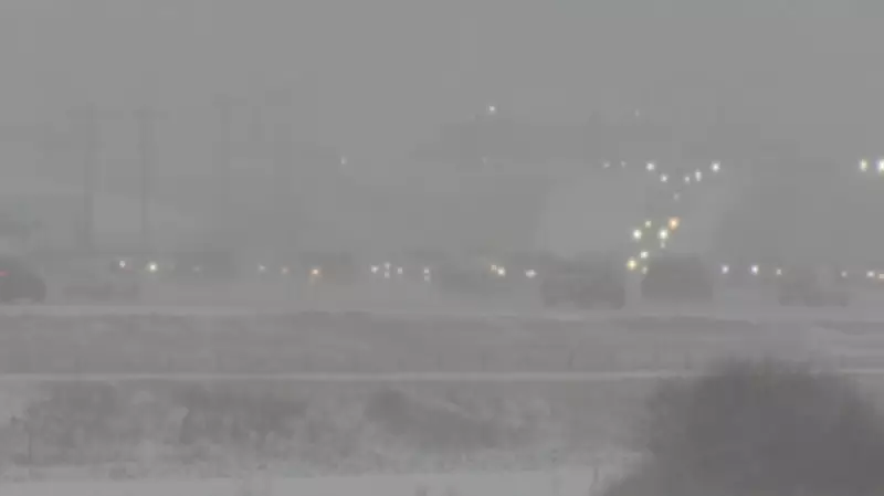 Calgary Police Urge Drivers to Avoid Roads During Severe Snowstorm