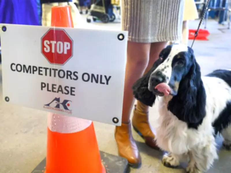 Calgary Weekend Showcases Dog Shows, Home Exhibits and Community Drives