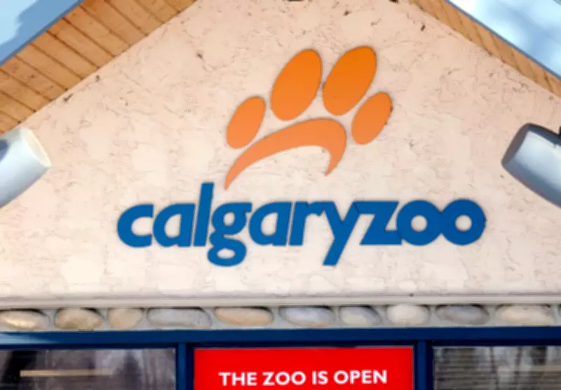 Calgary Zoo's New Asian Habitat Set to Open in July as Part of Expansion