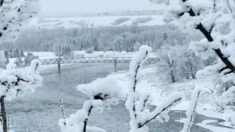 Calgary's Final Winter Blast Before Extended Warm Spell Arrives