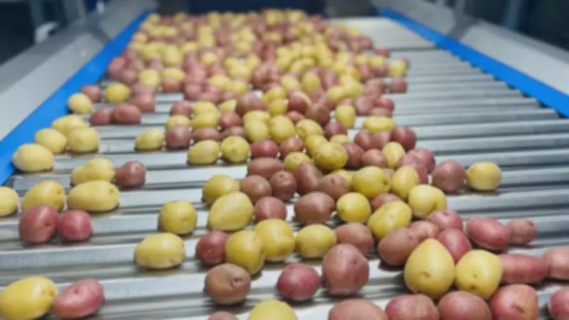 Canada and Mexico Forge Landmark Deal to Export Fresh Potatoes