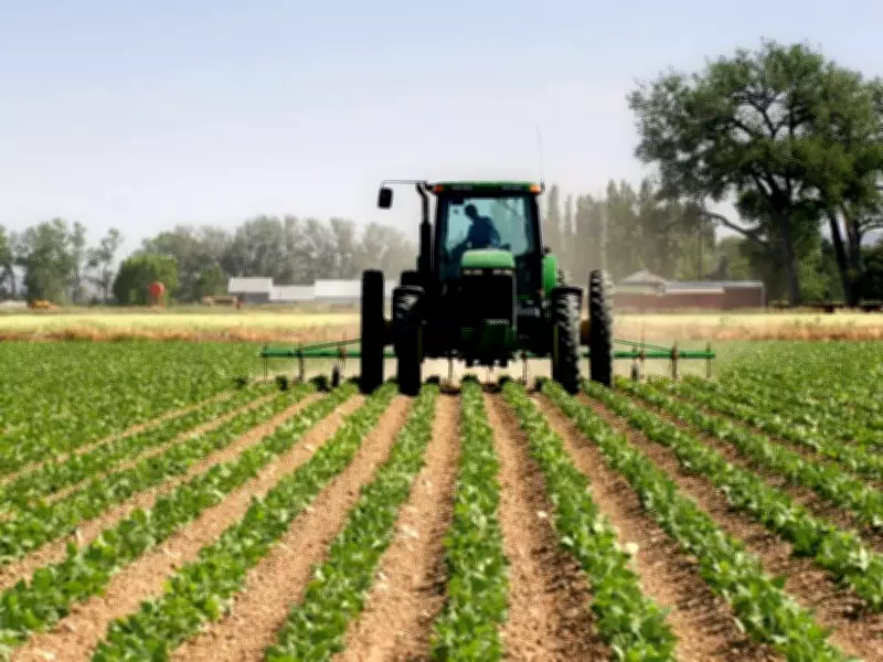 Canada's Productivity Crisis Deepens in Food Sector as U.S. Gains 10%