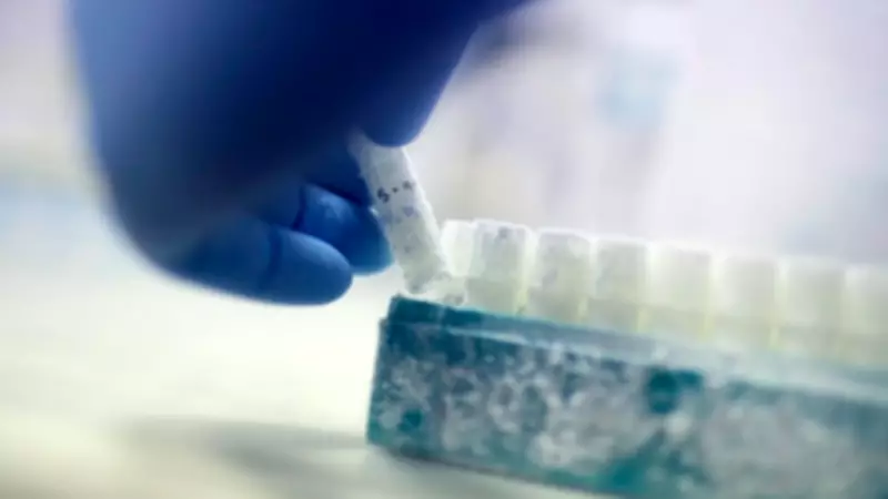 Canadian Judge Blocks Two Men from Sperm Donation in Unprecedented Ruling