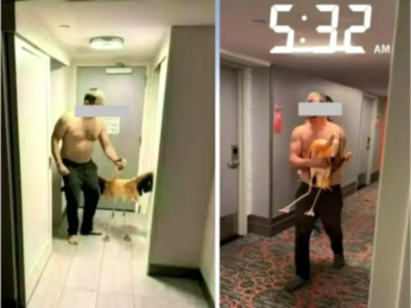 Canadian Tourist Faces Felony Charges After Alleged Flamingo Theft in Las Vegas Hotel
