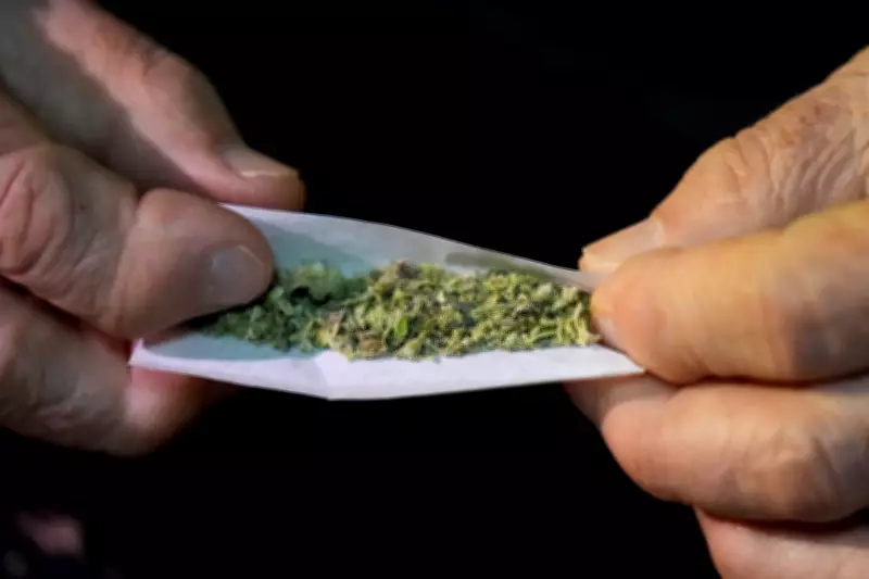 Cape Breton Cannabis Store Raids Lead to Spike in Ticket Issuance