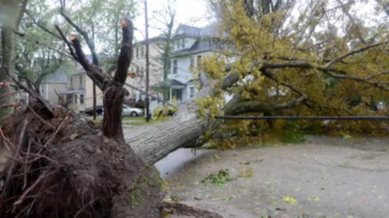 Cape Breton Homes Lost $4,000 Each in Post-Tropical Storm Fiona, Survey Reveals