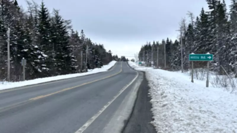 Cape Breton Police Identify Victim in Fatal Louisbourg Highway Hit-and-Run