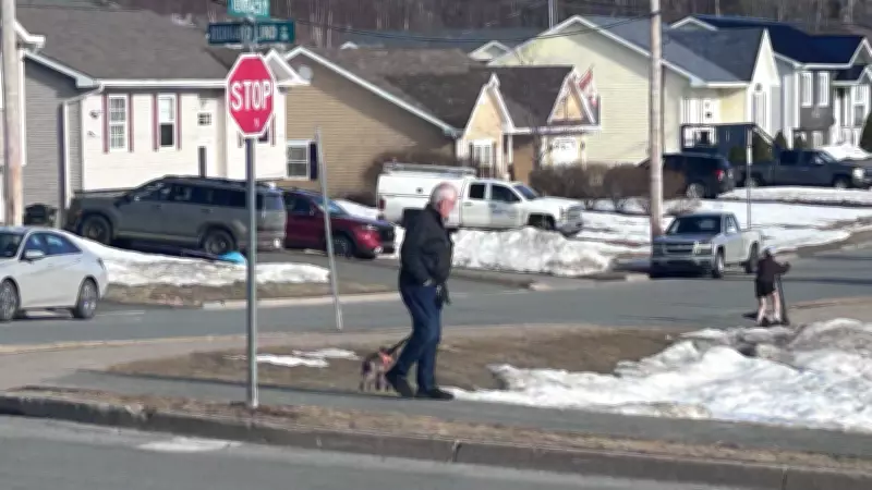 Cape Bretoners Embrace Unseasonably Warm Weather During Early Spring Surge