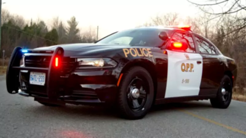 Carjacking Suspect Leads Multi-County Police Chase in Dramatic Pursuit