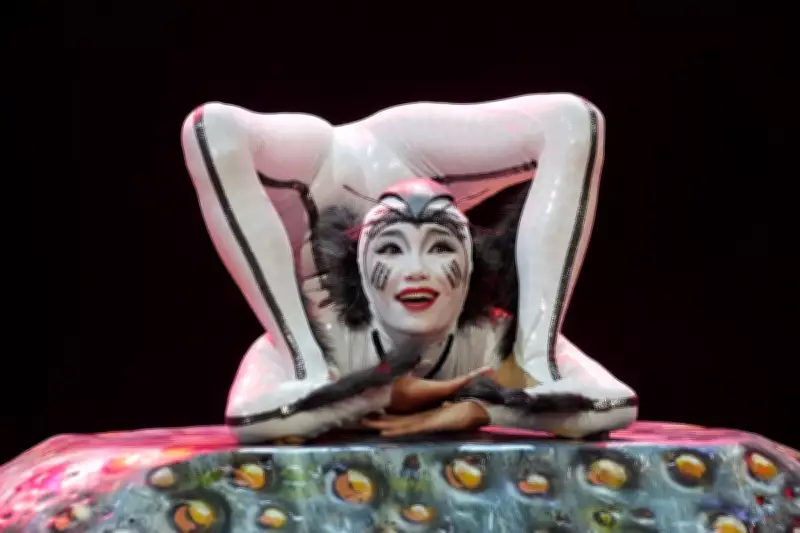 Cirque du Soleil Eliminates 70 Positions at Montreal Headquarters Amid Restructuring