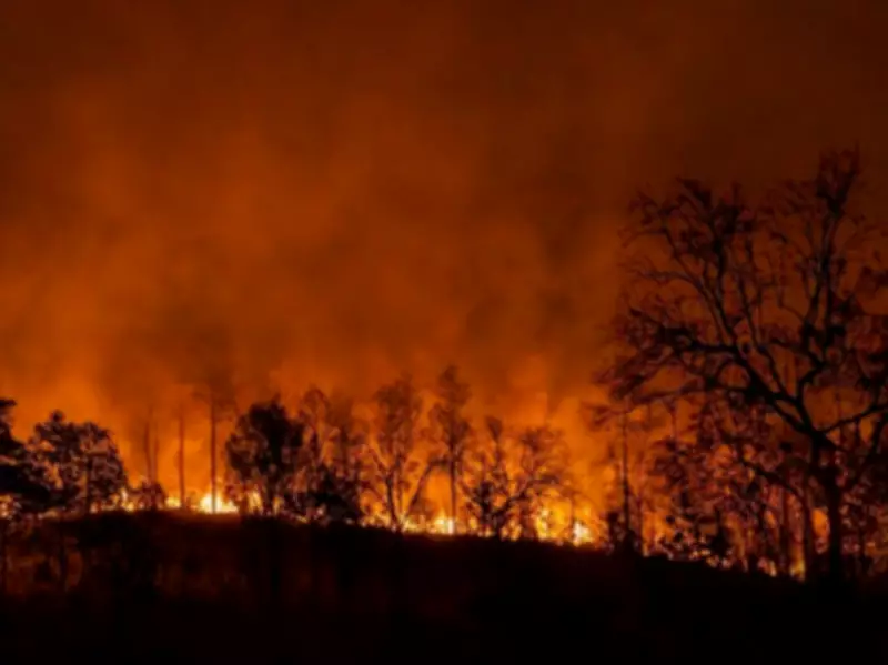 Climate Scientists Warn of Potential 'Super El Nino' Impacting Canada in 2026