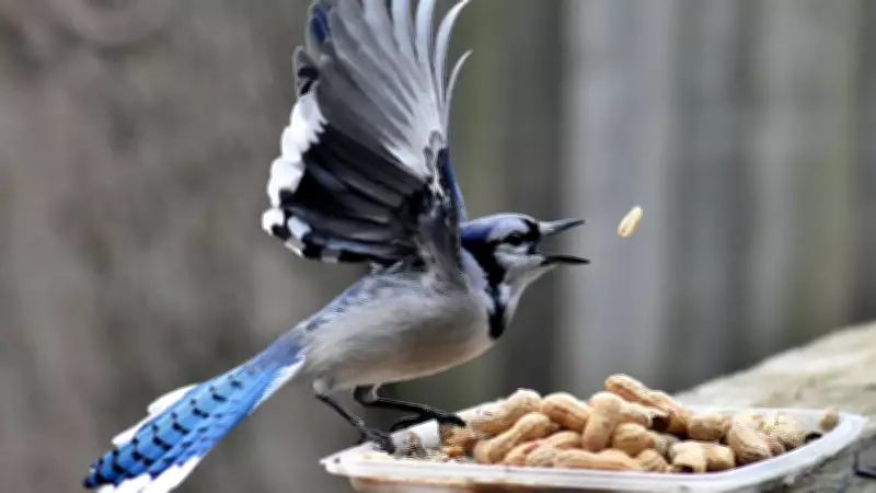 Clouds Loom Over London with Showers and Potential Flurries This Weekend