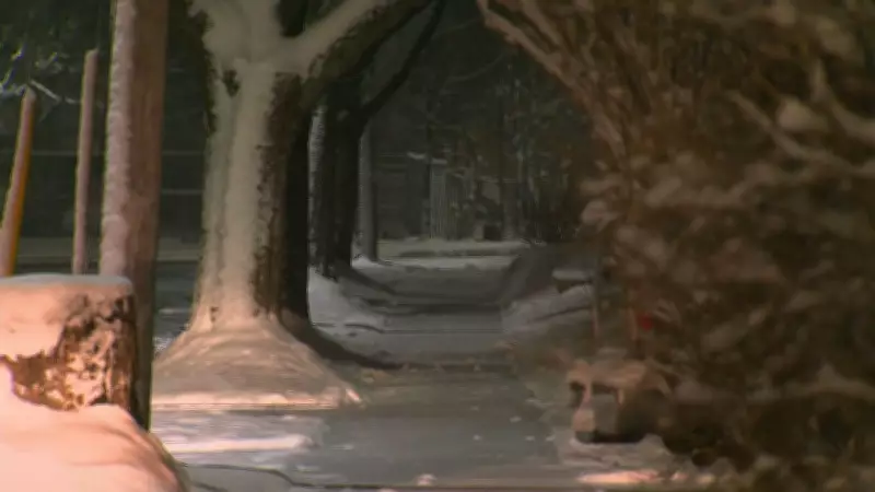 Coastal Nova Scotia Schools Shut as Special Weather Statements Issued