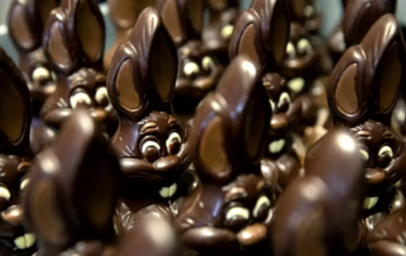 Cocoa Prices Drop, But Easter Chocolate Costs Remain High