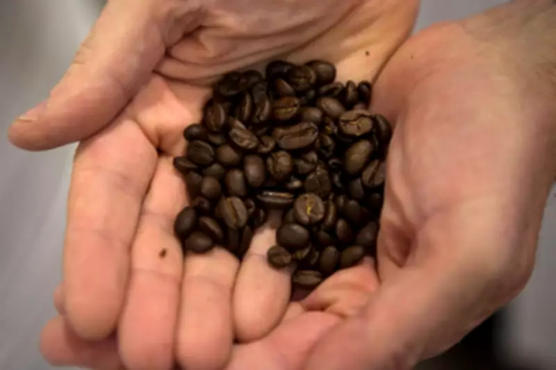 Coffee Prices May Drop in Grocery Stores Soon, But Cafes Will Stay High