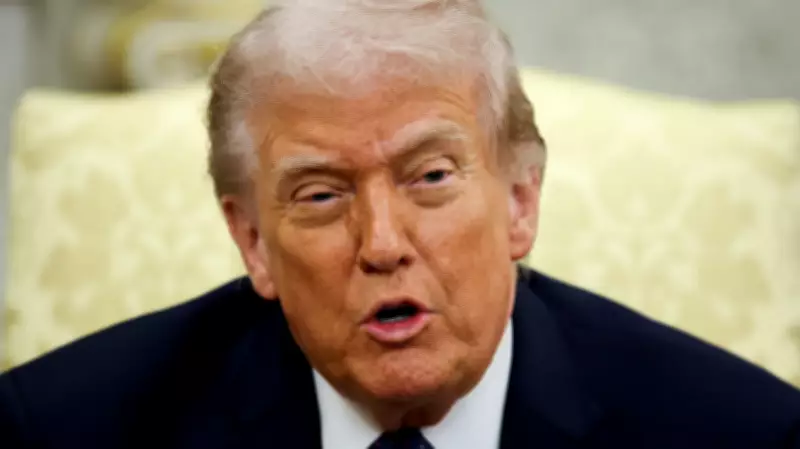 Comedian Tim Dillon Criticizes Trump's Approach to Iran Conflict, Urges Ego Appeal