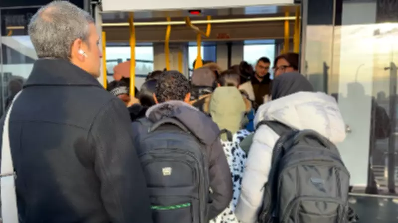 Commuters Face Crowded O-Train Trips as OC Transpo Runs Single-Car Service