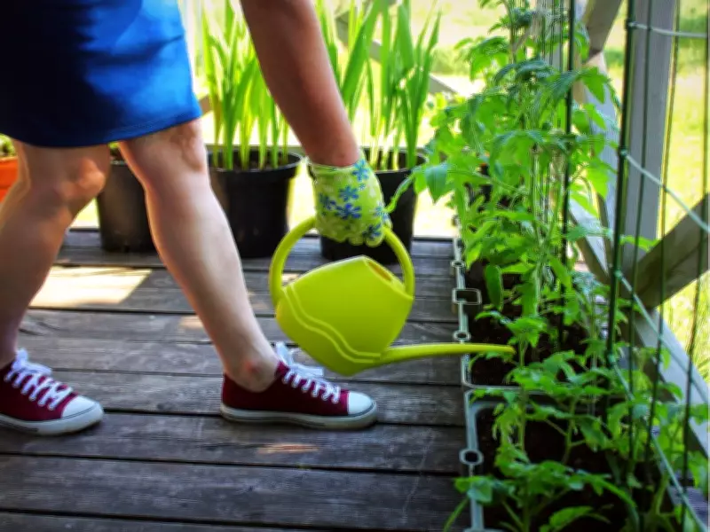 Container Gardening Guide: Optimal Timing for Transplanting Vegetables