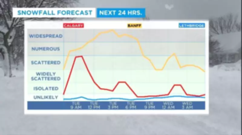 Cool, Wet Weather Returns to Calgary, Bringing Relief and Challenges