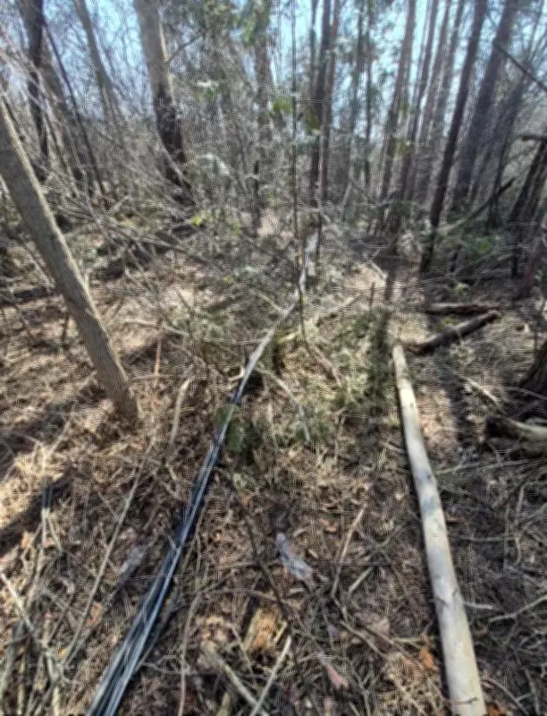 Copper Cable Theft Strikes Guelph-Eramosa, Disrupting Telecommunications