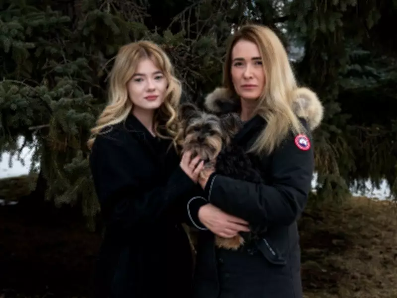 Coyote Attacks on Dogs Put Southwest Calgary Neighborhoods on High Alert