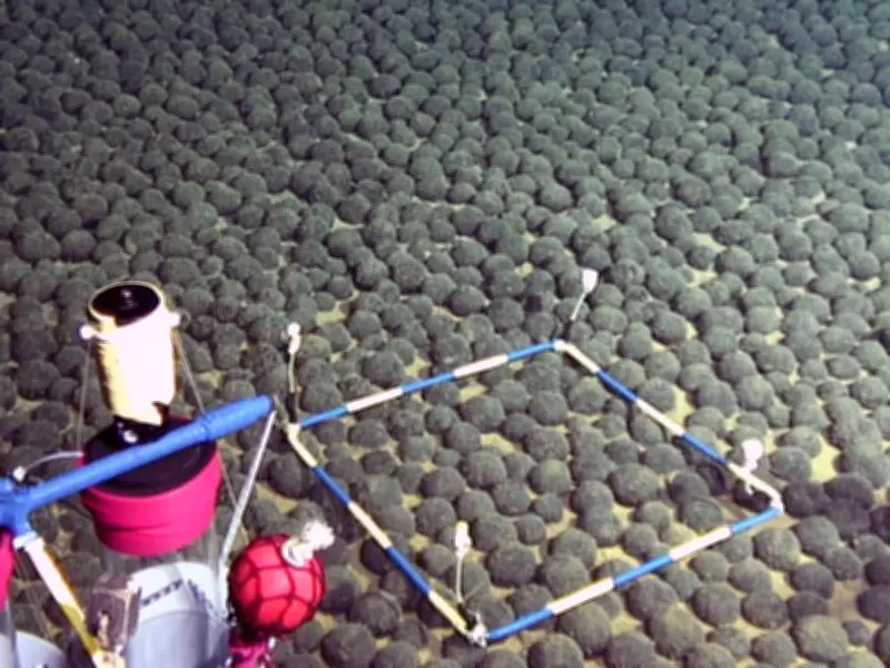 Deep Sea Minerals Corp. Admits Overstating Growth Potential Amid Regulatory Scrutiny