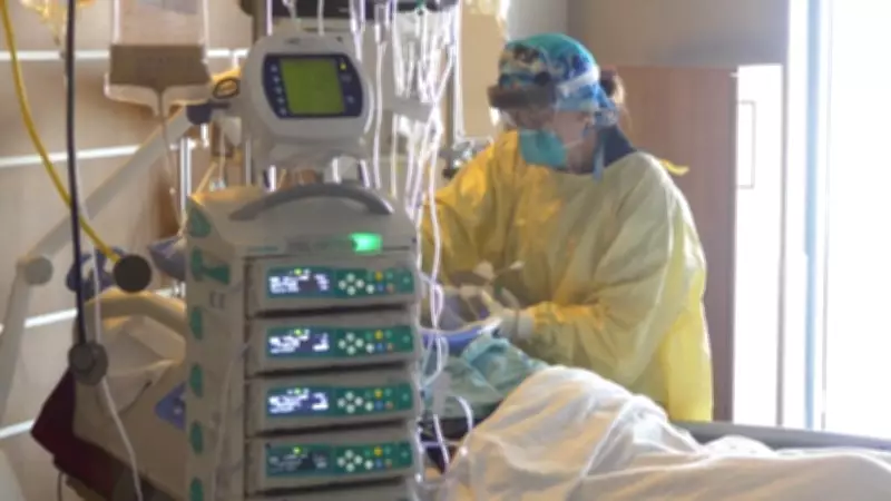 Delays in Healthcare Linked to Five Fatalities in Manitoba, Report Reveals