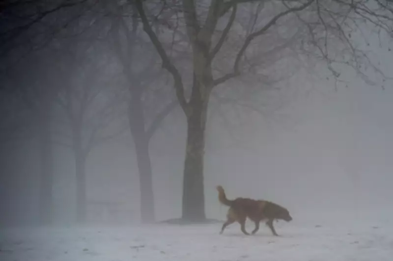 Dense Fog Advisory Issued for GTHA, Near-Zero Visibility Expected