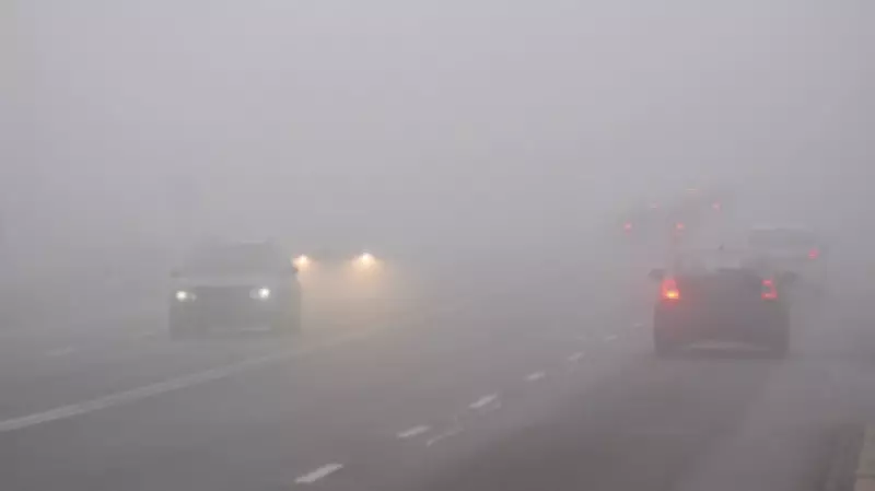 Dense Fog Advisory Issued for Southwestern Ontario, Warning of Near-Zero Visibility
