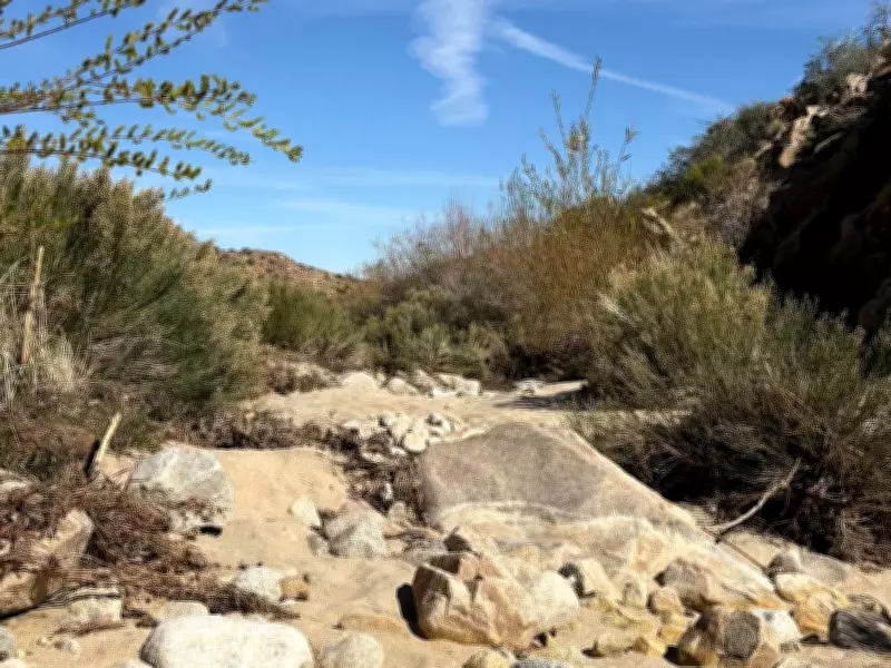 Desert Wisdom: Applying the Four-Burner Theory to Purposeful Wealth Building