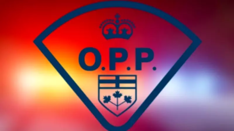 Ditched Vehicle Leads to Impaired Driving Charges in New Tecumseth, Ontario