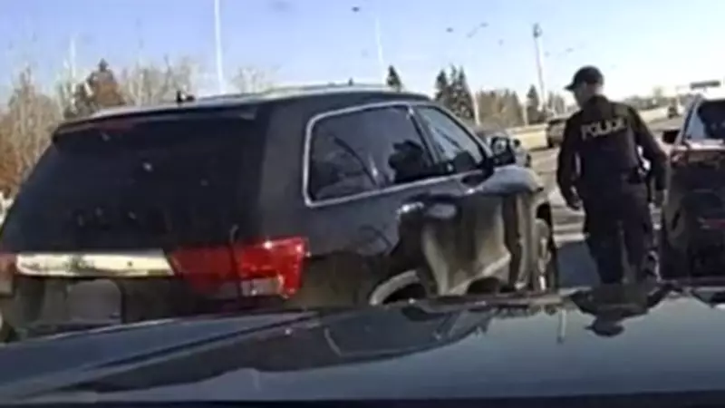 Driver Faces Charges After Narrowly Missing OPP Officer on Highway 401