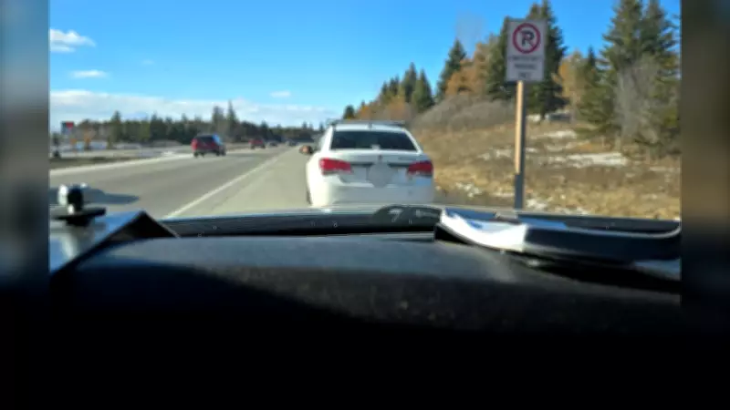 Driver Suspended Since 2023 Caught on Ottawa Highway by Ontario Police