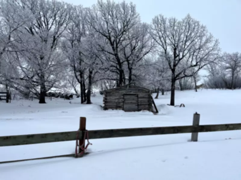 ECCC Issues Urgent Warning for Slippery, Icy Conditions in Winnipeg