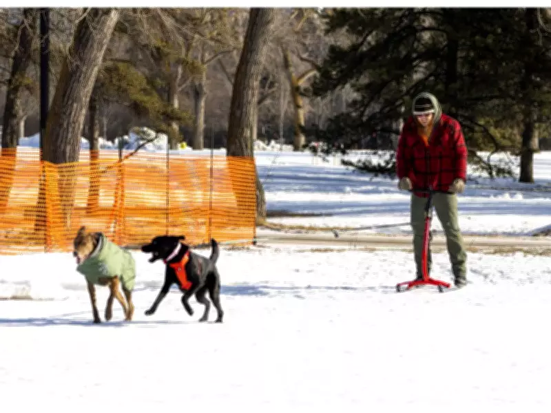 Edmonton's Hawrelak Park Reopens After Three-Year Renovation Project