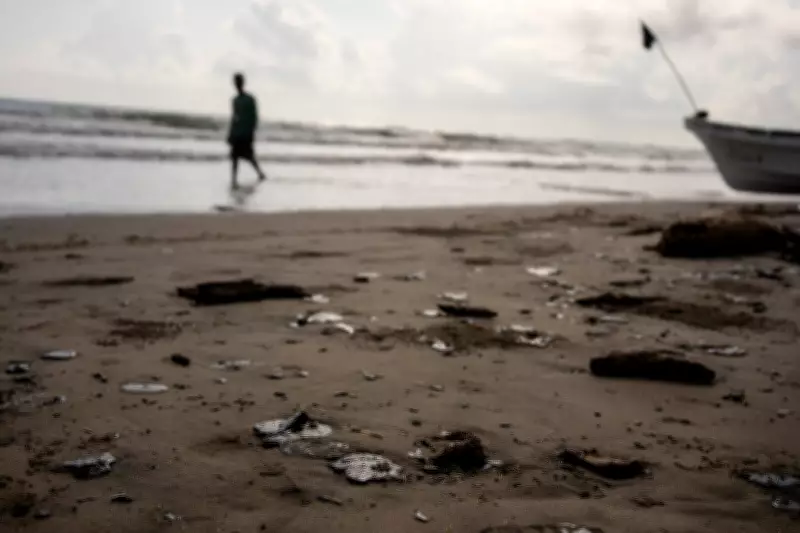 Environmental Groups Accuse Mexico of Misrepresenting Gulf Oil Spill Origins