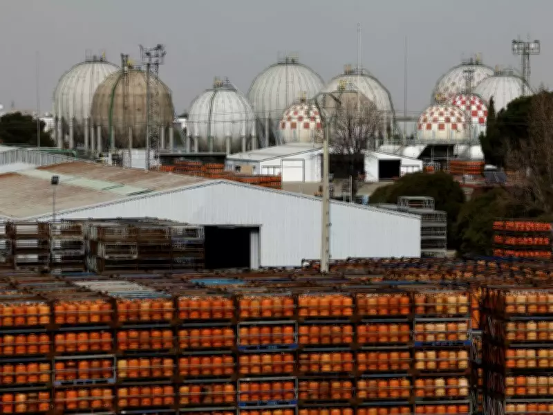 European Gas Prices Plummet as Trump Predicts Swift End to Iran Conflict