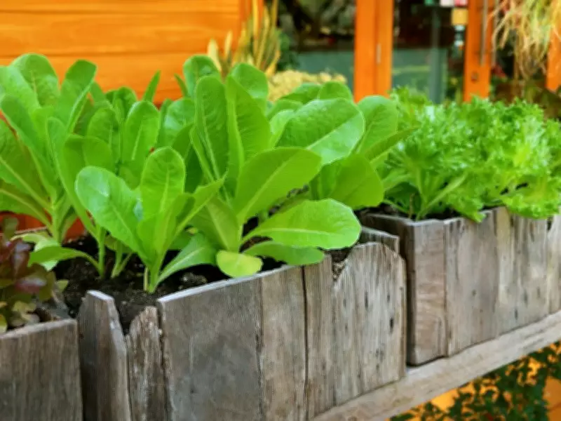 Expert Guide to Container Vegetable Gardening: Best Seed Sources and Tips