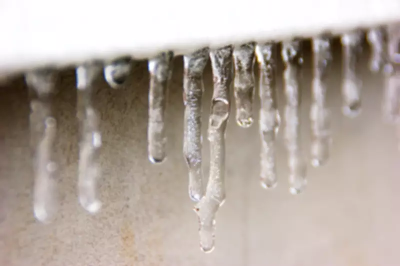 Extreme Cold Wind Chills Forecast for Kitchener Region Overnight into Monday