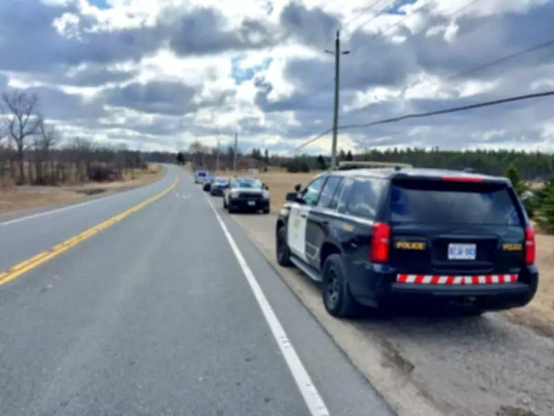 Fatal Head-On Collision on Highway 8 Near Hamilton Leaves One Dead, Multiple Injured